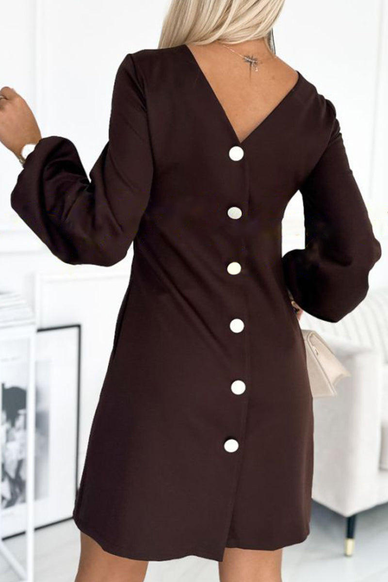 Women's Round Neck Long Sleeves Rear Button Design Casual Dress