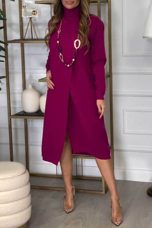 Women's Turtleneck Long Sleeve Slit Dress purple