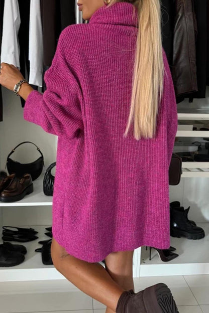 Women's Long Sleeve Casual Sweater Dress with Pile Collar