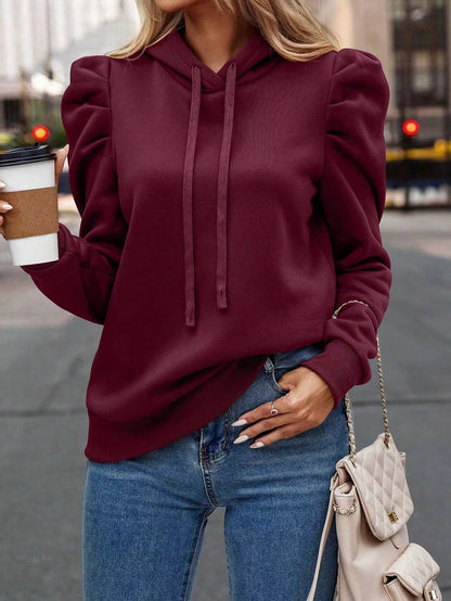 Fashionable Pile Collar Hooded Solid Color Long-sleeved Pullover Sweatshirt Claret